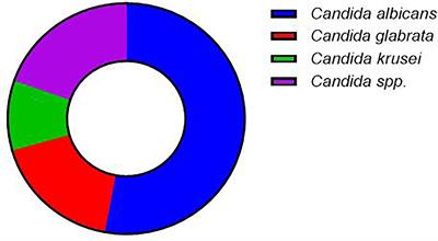 Efficacy of Extracts of Cyanthillium Cinereum, Khaya senegalensis and Lippia multiflora on Candida Strains Isolated From Urine Samples in Benin (West Africa)